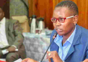 Senate Orders Recruitment Agency to Refund Sh1 Billion Paid by Youths