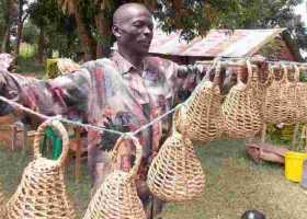 Why Quail Hunting Remains Popular in Western Kenya
