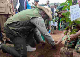 Kenya's Tree Planting Day Allegedly Crafted for Financial Gain