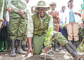 President Ruto's Environmental Leadership Lands Him on Time Magazine's Top 100 List 