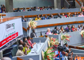 Unlocking the Potential of Diaspora Engagement and Investment