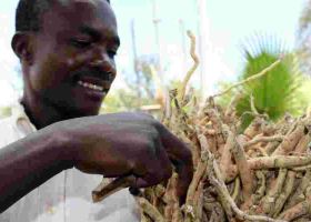 From Mukombero to Maasai Shuka: The Surprising Global Appeal of Kenya Household Items 