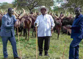 Ruto-Odinga Meeting Sparks Speculation of Political Truce