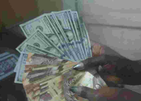 Shilling Bounces Back, Recoups Half the Value Lost 