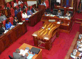 Senate Committee to Investigate Implications of Sending Nurses Abroad