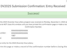 How to Recover a Lost Green Card Lottery Entry Confirmation Number