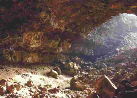 The Enigmatic Threat of Marburg Virus in Kenya's Kitum Cave