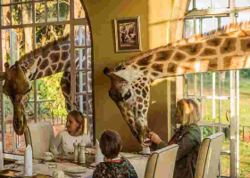 Kenyan Hotel Giraffe Manor Ranked Among the World's Top Instagrammable Hotels