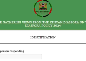 Government Seeks Diaspora Input for Investment Feedback and Policy Revision 