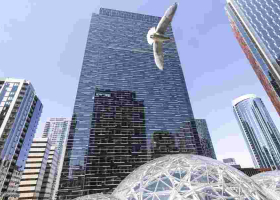Amazon Pauses Green Card Sponsorship for Foreign Workers in 2024