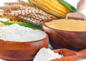 Dangerous Aflatoxin Levels Found in Popular Kenyan Flour Brand
