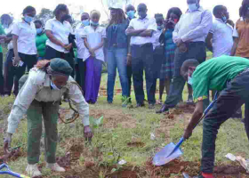 Kenya's Ambitious Plan to Plant 15 Billion Trees By 2032
