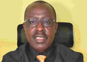 Germany-Based Kenyan Man's Consortium Wins KSh 830m to Convert Mushrooms to Healthy Proteins