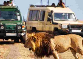 Kenya's Tourism Revenue Soars to All-Time High of Sh352 Billion