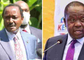 Matiang'i-Kalonzo Alliance in the Works, Kioni Confirms