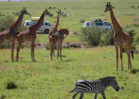 Kenya Aims to Boost Visitor Numbers with US Tourism Campaign