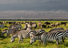 Kenya Sets 7M Tourist Goal by 2027 as France and Spain Already Attract Over 90M Annually