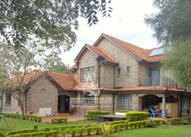 Kenya’s Wealthy Shift Investments to Classic Cars, Art, and Luxury Goods