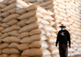 How Did Tycoons Secure Sh15 Billion Rice Import Deal?
