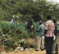 Two Foreign Tourists Found Murdered in Mombasa