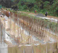 US Trade Agency Contracts Kenyan Firm in Multi-Billion Electricity Plan