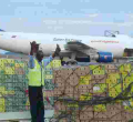 US Now Trails South Africa in Exports to Kenya