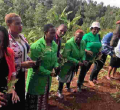 Kenyans Online Roast Murang'a Woman Rep Sabina Chege over Her 'Ask your Mother' Response to a Twitter User