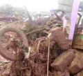 Over 30 People Killed as Patel Dam in Nakuru Breaks Its Banks 