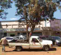 Burglars Steal Sh20 Million after Breaking into Family Bank's Ruiru Branch 