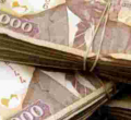 Former Cabinet Minister Simeon Nyachae's House Help Goes Missing after Stealing Sh5.1 Million