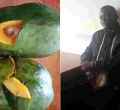 Anti-Drug Abuse Campaigner Arrested in Nairobi with Sh15 Million Heroine Stashed Inside Pawpaws