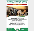 Real Estate Firm Optiven Visits Dallas, Texas March 27th to April 4th 
