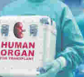 Doctors to Harvest Kidneys from Kenyans Upon Death in Proposed Bill