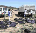US-Based Law Firm to Seek Justice for Kenyan Victims of Ethiopian Plane Crash