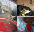 Three People Arrested for Conning Nairobi Couple Out of Sh2 Million While Posing as Witchdoctors