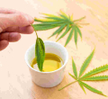US Beverage Company to Use Kenyan Coffee to Make Bhang-Laced Drinks