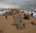 Revealed: How Kenyans Cheated their Way into the US, Europe as Refugees