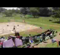 [WATCH] Baboons Invade Multimedia University in Nairobi, Chase after Students 
