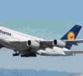 Disabled Kenyan Man Sues German Airline, Lufthansa for Confiscating His Walking Cane