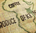 US Loses its Place as Largest Buyer of Kenya's Specialty Coffee