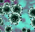 Coronavirus Kills 368 People in Italy Within 24 Hours 