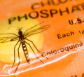 Gov’t Warns Kenyans Against Using Chloroquine to Treat Covid-19