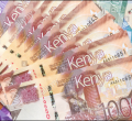 Kenyan Woman Receives Sh3.8 Million from NYS for Supplying Nothing, Reports to EACC