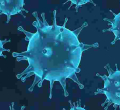  Kenya Confirms 15 More Covid-19 Cases, Tally Hits 296