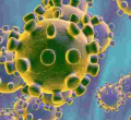 Covid-19 Could Kill over 300,000 Africans, UN Agency Warns