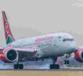 Senate Team Wants Kenyans Stranded Abroad Amid Covid-19 Crisis Evacuated for Free