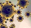 10 Kenyans in the US Have Died of Covid-19 So Far, Health Ministry Says
