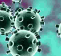 Kenya Records Highest Single-Day Covid-19 Deaths and Infections 