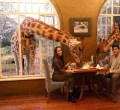 Nairobi-Based Luxury Hotel Giraffe Manor Under Fire over Racism Claims