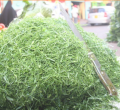 Kenya Bans Chopping of Vegetables by 'Mama Mbogas' in New Covid-19 Preventive Measures